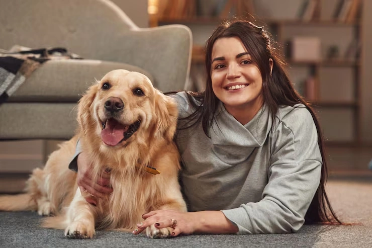 Crate Fitting and Comfort Setup